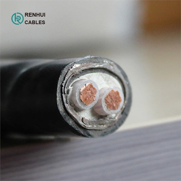 U-1000 RVFV Two Steel Tapes Cables